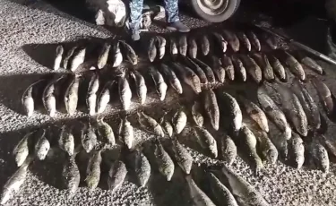 В Казахстане за месяц привлекли к ответственности 4 000 браконьеров