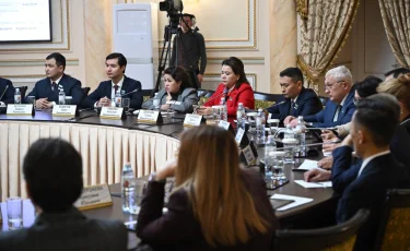 «Қатты отын жағатын шағын ғана монша немесе кәуапхана ауаны жүздеген метрге дейін ластауы мүмкін» – сарапшы