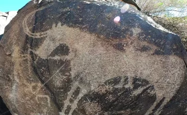 Охотники за петроглифами передадут новые материалы Институту археологии