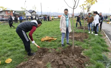 «Таза Қазақстан» аясында биыл елімізде 335 млн ағаш егілді - Тоқаев