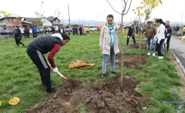 «Таза Қазақстан» аясында биыл елімізде 335 млн ағаш егілді - Тоқаев
