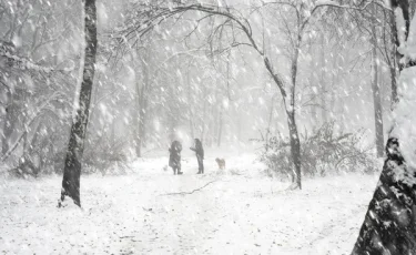 БҚО-да боранды күні адасып кеткен екі адам табылмай жатыр