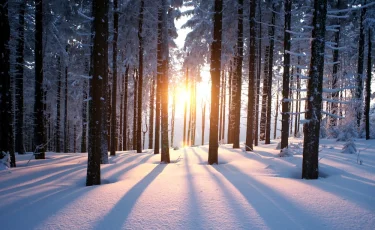 Зимнее солнцестояние: когда наступит самый короткий день в 2025 году