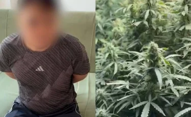 Подпольную фитолабораторию выявили в одной из многоэтажек Алматы (видео)