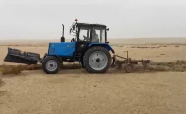 Түркістан облысында шегіртке зиянкесіне қарсы жер жырту жұмыстары басталды