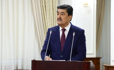 Поручение Президента по посадке 2 млрд деревьев будет исполнено до 2027 года - Ерлан Нысанбаев