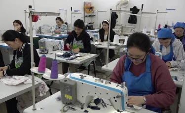 Тоқаев шағын бизнесті қолдау бағдарламасын жедел қабылдауды тапсырды