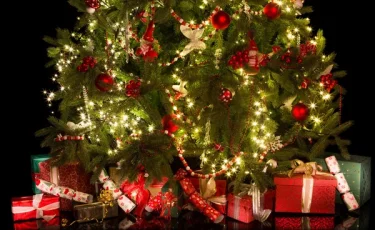 Новогодние гирлянды могут вредить сну: на что стоит обратить внимание