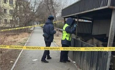 Безжалостно выкинули: в Кентау в мусорном контейнере найдено тело младенца