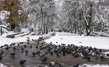 Қар, көктайғақ, бұрқасын: бүгінгі ауа райы болжамы қандай