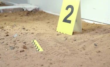 Более 8 тысяч преступлений раскрыли казахстанские криминалисты за 2025 год