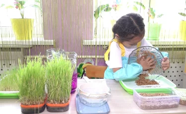 Экопривычки с детства: в Алматы малыши учатся заботе об окружающей среде