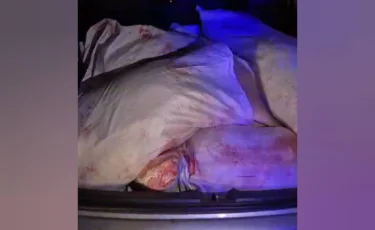 Батыс Қазақстан облысында браконьерлер ұсталды