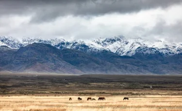 Как казахи ориентировались в степи без карт и GPS