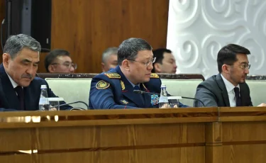 Президент: «Қоршаған ортаны қорғау – стратегиялық мәселе»