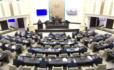 Сенаторлар ЛГБТ насихатына тыйым салатын заңды мақұлдады