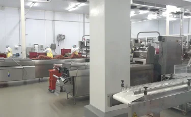 Бизнесті қолдау шаралары: Мәжіліс Үкіметке уәкілетті органды бекітуді ұсынды