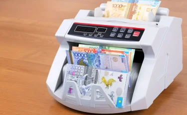 Помощь для избранных: аудиторы раскритиковали поддержку бизнеса