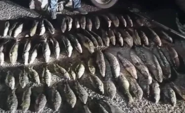 Браконьерлікке қарсы іс-шарада 93 қылмыстық іс қозғалып, 39 млн теңгеден астам айыппұл салынды