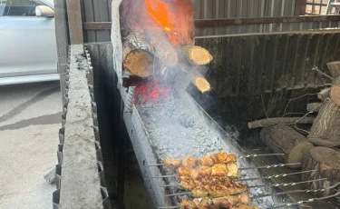 В Жетысуском районе Алматы пресекли незаконную работу «коптящихся» шашлычных