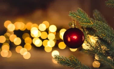 Алматыда «Эко-шырша Алматы» ашық байқауы басталды