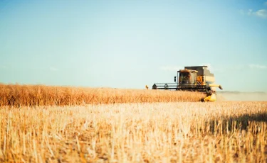 В Казахстане валовый выпуск продукции сельского хозяйства увеличился на 6,1%