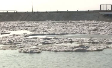 Мемлекет басшысы Арал және Каспийдегі экологиялық проблемаларды атап өтті