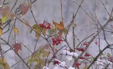 Бүгін еліміздің кей өңірінде қар жауып, көктайғақ болуы мүмкін