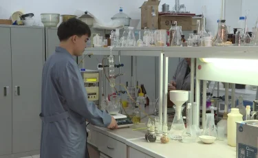 Қызылордалық ғалымдар күріш қалдығын қайта кәдеге жаратып жатыр