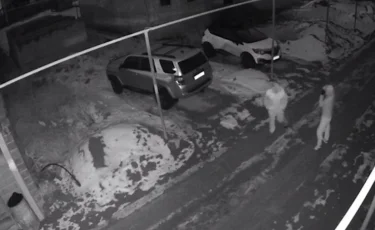 Алматыда пәтер ұрлық жасаған күдіктілер ұсталды