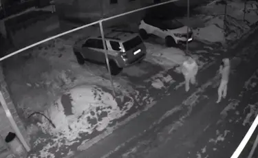 Алматыда пәтер ұрлық жасаған күдіктілер ұсталды