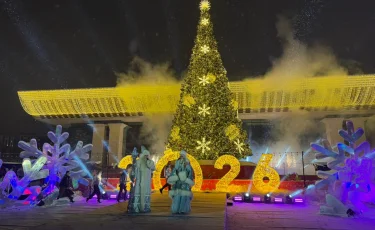 Алматыда бас шыршаның шамы жанды