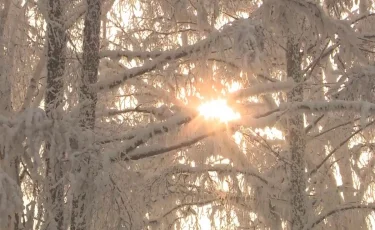 Боран, көктайғақ: Алдағы үш күнде ауа райы қандай болады