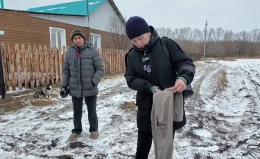 Боятся выходить на улицы: жители СКО жалуются на нападения лис