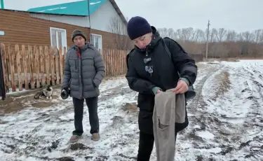 Боятся выходить на улицы: жители СКО жалуются на нападения лис