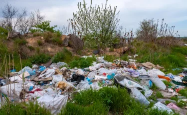 Как в Петропавловске улучшают экологическую обстановку