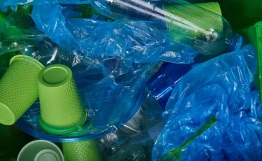 Түркістанда қоғамдық орындарды ластағандарға 210 млн теңгеге жуық айыппұл салынды