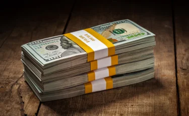 Президент назвал основные причины замедления мировых потоков прямых иностранных инвестиций