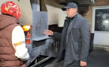 В Медеуском районе Алматы выявлены экологические и санитарные нарушения у ряда шашлычных