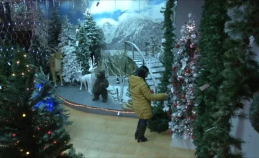 Қазақстан өңірлерінде жаңажылдық шыршаның бағасы қанша