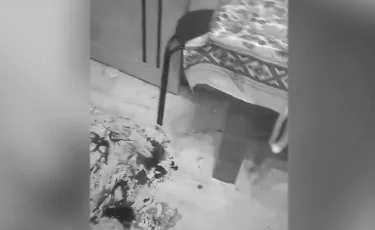 12 жерден пышақтаған: қоңырауына жауап бермеген анасының денесін ұлы пәтерінен тапқан