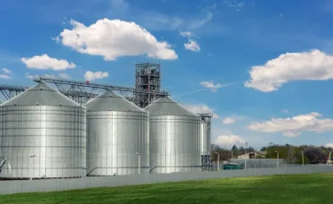 Казахстан модернизирует элеваторы: льготные кредиты для аграриев стартуют в 2026 году