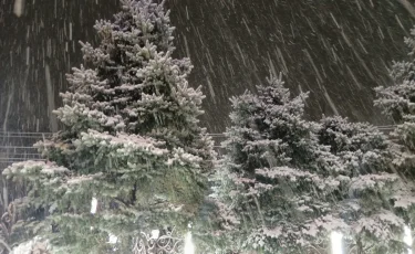 Транспортный коллапс произошел в среду в Таразе