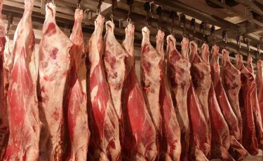 Производство мяса в Казахстане превысило 1 млн тонн