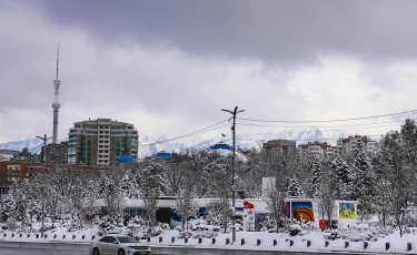 Не выходить из дома без необходимости: МВД обратилось к казахстанцам