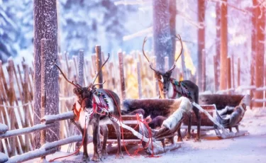 Рекордные морозы: где зафиксировали экстремальный холод этой зимы