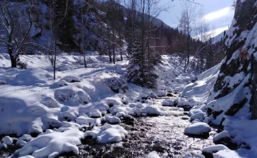 ЮНЕСКО-ның Мұздықтарды зерттеу орталығы Қазақстанда жұмысын жалғастырады