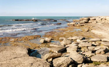 Қасым-Жомарт Тоқаев Арал және Каспийдегі экологиялық проблемаларды атап өтті