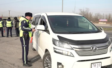 Биыл Алматы облысында жол апатынан 166 адам қаза тапты