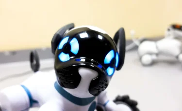 Кормить не нужно: в Китае выпустили в продажу роботов-собак